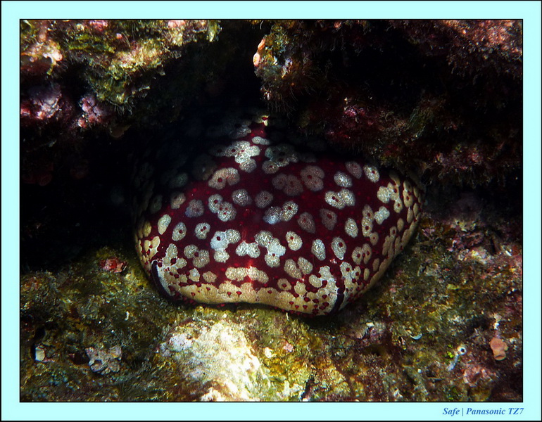 2012 - 03 - Koh Ha 36